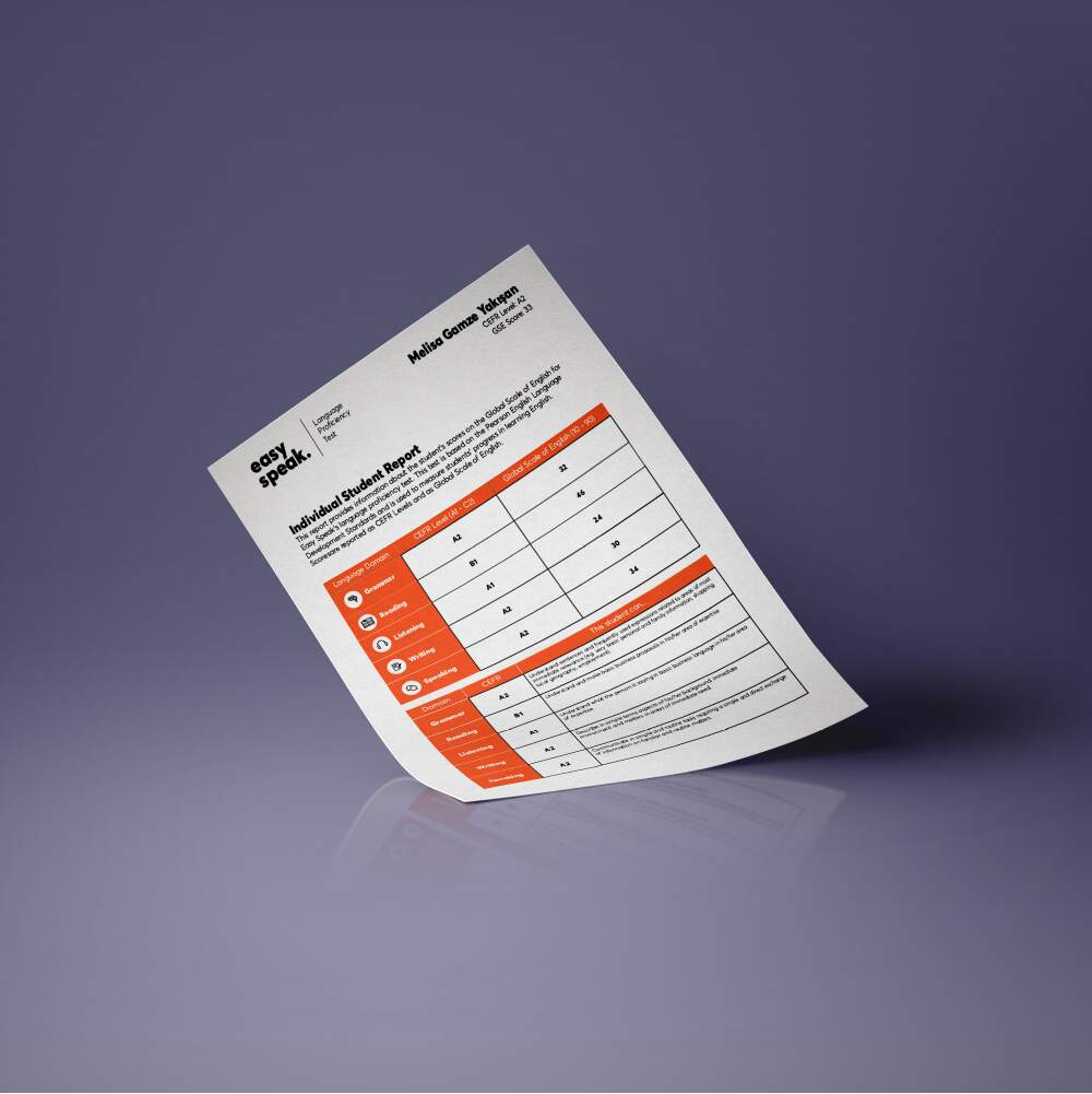 Portfolio Image 4